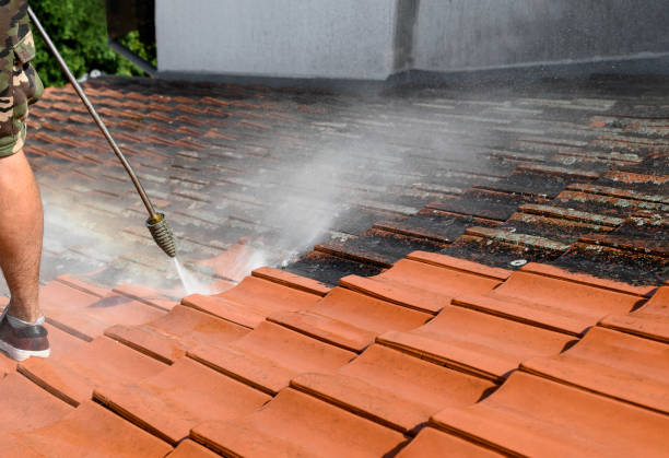Best Deck Cleaning Services  in Salem, MA